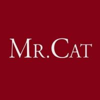 Mr Cat