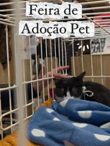 Tem um focinho esperando por você... 🐶🐱

A Feira de Adoção Pet continua no Teresópolis Shopping, dessa vez em parceria com a ONG Anjos e Peludos. Venha conhecer os cãezinhos e gatinhos que sonham com um lar cheio de amor. 

📍 1º Piso
🕚 Das 11h às 17h

Esperamos por você!