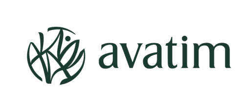 Avatim