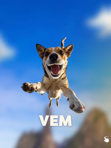 Tem alguém esperando por você. 🐶🐱💛
O Teresópolis Shopping recebe a Feira de Adoção de Pet! Venha conhecer de pertinho os peludinhos que só precisam de um lar cheio de amor para serem felizes.
Adotar é um ato de amor que transforma duas vidas: a do pet e a da sua família. Venha, conheça e se apaixone! 🐾